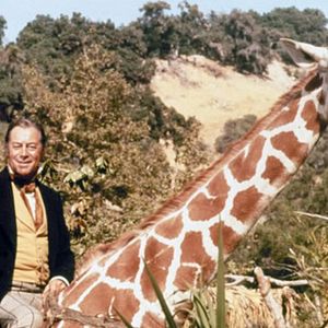 Photo L'Extravagant docteur Dolittle
