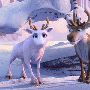 Photo Niko le petit Renne 2