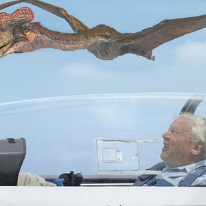 Photo Ptérodactyles 3D : Dans le ciel des dinosaures