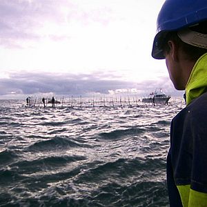 Photo Sushi - The Global Catch
