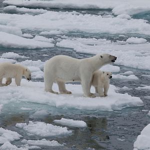 Photo Arctique