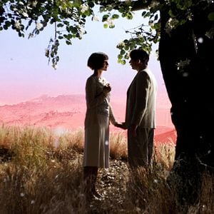 Photo Poulet aux Prunes