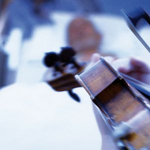 Photo Violinissimo
