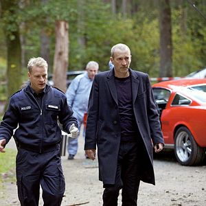 Photo Wolfsfährte