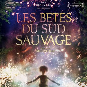 Photo Les Bêtes du sud sauvage