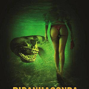 Photo Piraconda