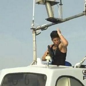 Photo Jersey Shore Shark Attack