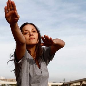 Photo De rouille et d'os