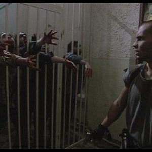 Photo Zone of the Dead