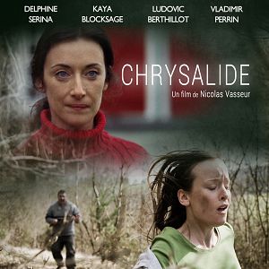 Photo Chrysalide