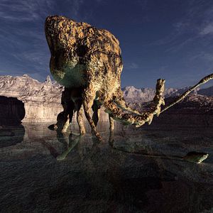 Photo Insectula!
