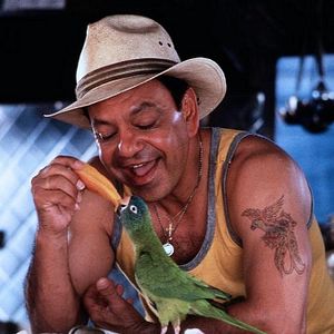 Photo Paulie, le perroquet qui parlait trop