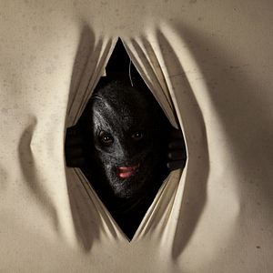 Photo Randall Archer