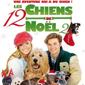 Photo Les 12 chiens de Noël 2