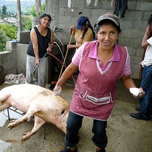 Photo Ecuador une politique au-delà de l'utopie