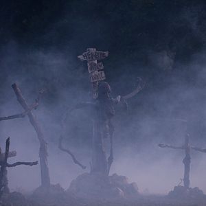 Photo The Lords of Salem