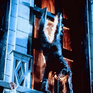 Photo Vampire, vous avez dit vampire ? II