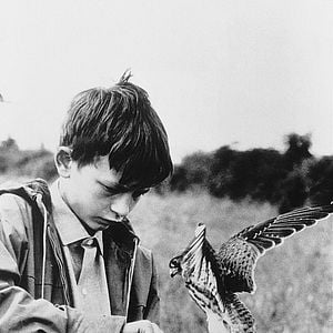 Photo David Bradley (II)