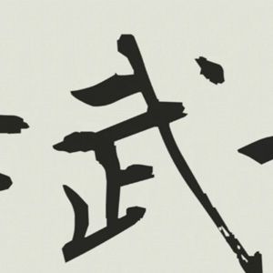 Photo The Old Samurai
