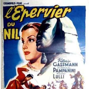 Photo L'Epervier du Nil