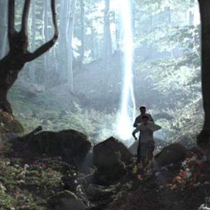 Photo Les Secrets de la forêt noire (TV)