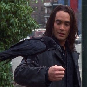 Photo Mark Dacascos