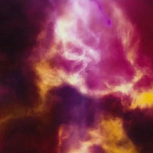 Photo Ludovic Bornes