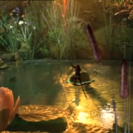 Photo Faeries