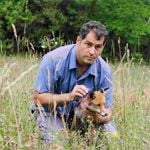 Photo Le renard et l'enfant