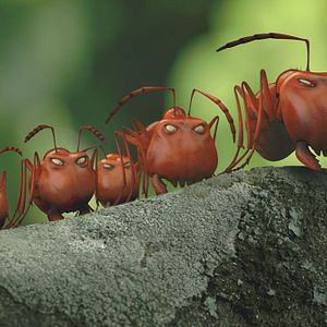 Photo Minuscule - La vallée des fourmis perdues