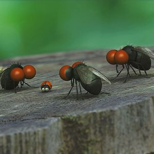 Photo Minuscule - La vallée des fourmis perdues