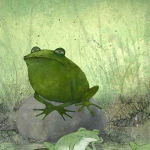 Photo Mille-pattes et crapaud