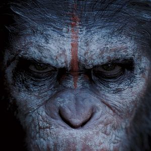 Photo La Planète des singes : l'affrontement