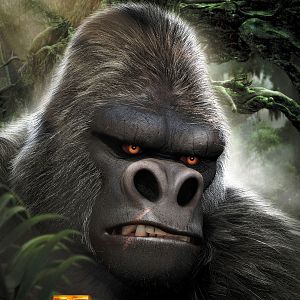 Photo Tarzan