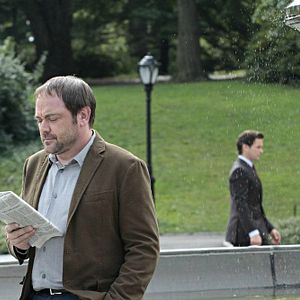 Photo Mark Sheppard