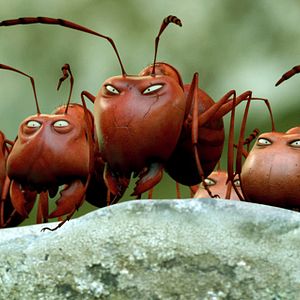 Photo Minuscule - La vallée des fourmis perdues