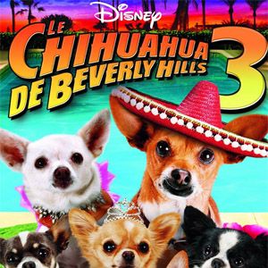 Photo Le Chihuahua de Beverly Hills 3 : Viva La Fiesta !
