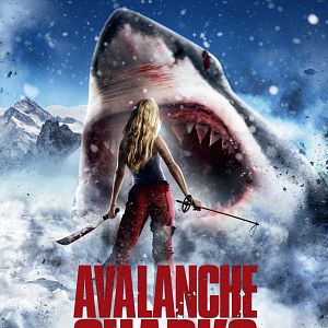 Photo Avalanche Sharks - les dents de la neige