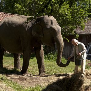 Photo Le Vieux qui ne voulait pas fêter son anniversaire