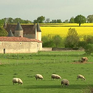 Photo Les petits gars de la campagne