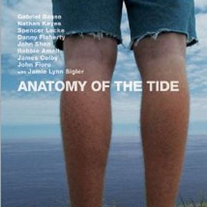 Photo Anatomy of the Tide