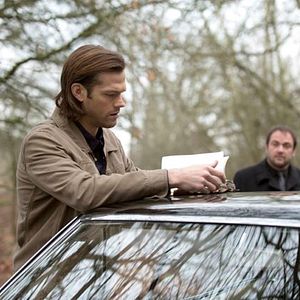 Photo Mark Sheppard