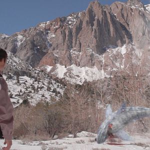 Photo Avalanche Sharks - les dents de la neige