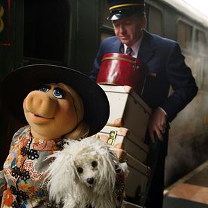 Photo Muppets most wanted