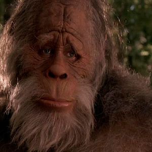 Photo Bigfoot et les Henderson