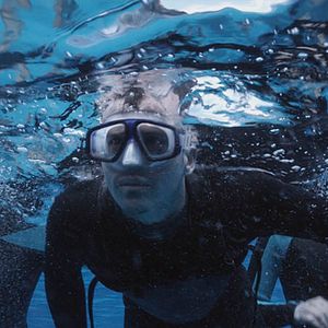 Photo The Reef