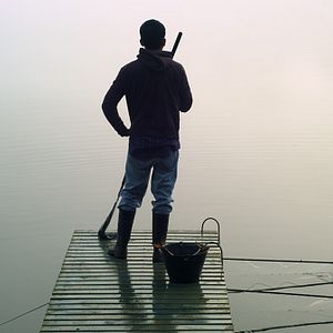 Photo L'Eté des poissons volants