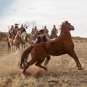 Photo The Homesman