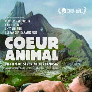 Photo Coeur animal