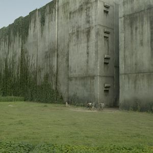 Photo Le Labyrinthe